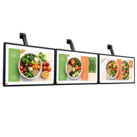 Lumière LED extérieure décorative ultra-mince, résistante aux intempéries, à haute luminosité, écologique, en alliage d'aluminium solaire, 5000 lumens, pleine couleur