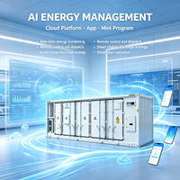 Sistema de Almacenamiento de Energía Solar en Contenedor Refrigerado por Líquido Inedge Power Super Capacitor Battery 5MWh/6MWh BESS con Soporte Técnico