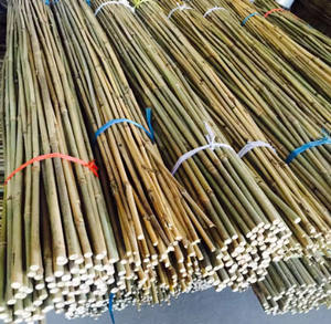 เสาไม้ไผ่แห้งธรรมชาติบริสุทธิ์ขนาดที่กําหนดเองที่คุ้มค่าสําหรับการก่อสร้างจากซัพพลายเออร์เวียดนามด้วยราคาที่แข่งขันได้ - Product Image 5