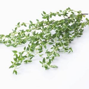 Aceite Esencial <span class=keywords><strong>de</strong></span> Tomillo Destilado al Vapor Puro, Cuidado <span class=keywords><strong>de</strong></span> la Piel y el Cabello, Aromaterapia, Materia Prima Cosmética - Product Image 4