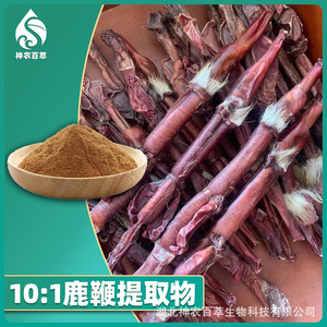 Extracto de asta de ciervo (polvo de asta de ciervo en proporción 10:1) extraído en materia prima soluble en agua de grado alimenticio, ciervo deshidratado por pulverización. - Product Image 2