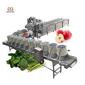 Other Drum Type Apple Chips Washing Cleaner Machine Leaf Vegetable & Fruit Conveyor Washer with Ozone