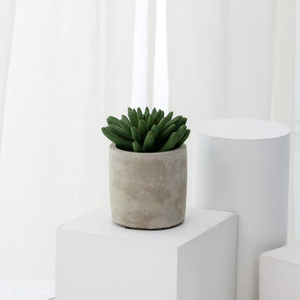 Caliente de <span class=keywords><strong>la</strong></span> venta de productos de interior decorativo artificial plantas suculentas <span class=keywords><strong>en</strong></span> cemento gris flor olla para casa - Product Image 5