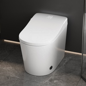 Высококачественный умный туалет, биде - Product Image 1