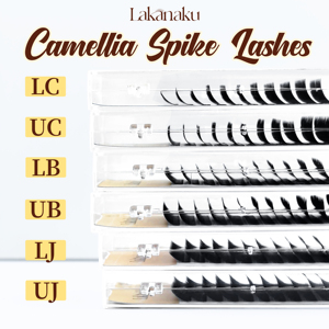 UJ LJ Extensions de cils pré-attachées effet camélia, extensions de cils à floraison automatique, plateau de cils Blooming Lash LB UB toutes tailles - Product Image 1