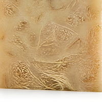 Savon Solide Artisanal au Luffa pour le Visage et le Corps 100g Marque Privée OEM ODM