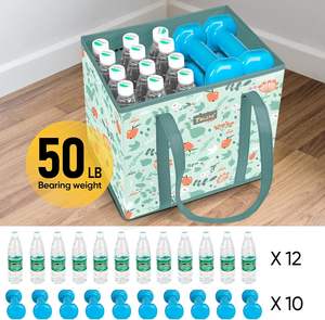 Échantillon gratuit, sac de plage en maille transparente à double couche, très vendu, pour les voyages en plein air, les pique-niques, le stockage des articles de bain, sac isotherme - Product Image 4