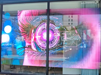 Film holographique transparent à LED pour affichage promotionnel de Noël et d'Halloween sur vitrine, facile à installer par une seule personne.