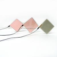 Lámina Electroluminiscente Cortable Tamaño A4, Lámina Electroluminiscente con Retroiluminación, Lámina EL Brillante, LED Electroluminiscente