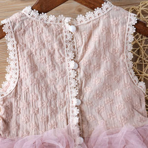 Vestido de Encaje Rosa para Niña de 2 Años, Estilo Princesa, para Boda, Verano, Disponible en Stock, Económico, Europeo - Product Image 6
