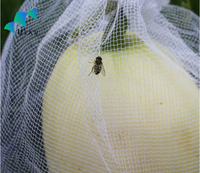 Sacs de protection pour raisins en HDPE anti-insectes avec cordon de serrage pour protéger les graines de plantes, les fruits, les fleurs, les légumes 25*35cm