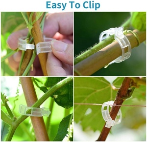50 clips/saco para soporte de plantas, para tomate, verduras y enredaderas de jardín, para que crezcan rectos y las plantas se sientan más saludables, clip para atar. - Product Image 6
