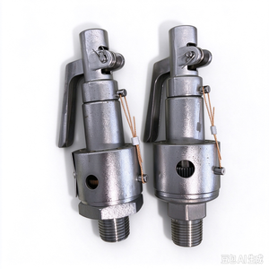 高压灭菌器水箱垫片 门密封件 PCB板 水位传感器 探头 温度传感器 安全阀 - Product Image 6