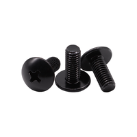 Vis à tête bombée noire de classe 10.9 12.9, à empreinte cruciforme Phillips, sur mesure, M2 M2.5 M3 M3.5 M4 M5 M6 M8