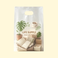 Sac en plastique antistatique en PE avec poignée perforée pour l'emballage électronique