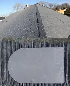 لائحة بلاط سقف لتزيين السقف
