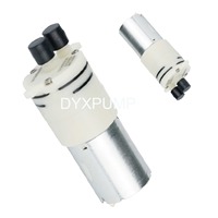 Pompe à eau miniature 3,7 V CC à balais pour systèmes d'irrigation agricole