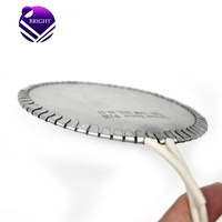 Plaque chauffante électrique ronde isolée en mica BRIGHT 120V 500W pour le préchauffage des moules circulaires
