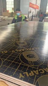 سعر تنافسي ، خشب رقائقي حديث من خشب الحور E0 غراء 3-25 بسمك من الدرجة الأولى ، جودة من الدرجة الأولى للاستخدام في المباني والشقق - Product Image 6