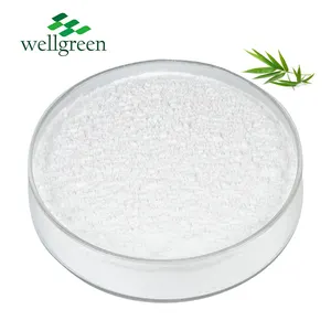Leaf Extract Free Sample ISO Factory Supply High Quality Herbs Bamboo Food Grade White Fine Powder 2 Years