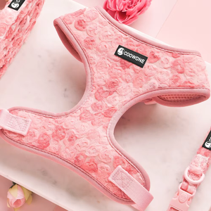 Benutzer definierte Logo-Muster Blume Haustier Geschirr Leine Set Valentinstag Weiche verstellbare Welpen Hund Geschirr Weste für kleine Hunde Katzen Geschenk - Product Image 1