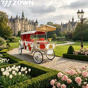 Chariot rétro populaire à chevaux pour les sites touristiques, véhicule de transport pour parcs d'attractions et événements de mariage - Product Image 1