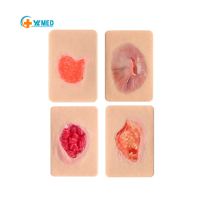 4 <strong>Types</strong> of Granulating Wound Cards for Medical Demonstration Skin Wound Simulation of <strong>Different</strong> <strong>Types</strong> Human Skin Trauma <strong>Models</strong> - Product Image 1