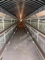 Offre Spéciale 10000 poulets batterie Cage poules pondeuses ferme avicole 3/4 niveaux automatique 96/120/128/160 oiseaux pondeuse poulet Cage
