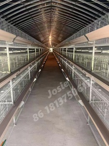 Gran oferta, jaula <span class=keywords><strong>de</strong></span> batería para pollos 10000, gallinas ponedoras, granja avícola, 3/4 niveles, automática, 96/120/128/160, jaula para pollos con capa <span class=keywords><strong>de</strong></span> huevo para pájaros - Product Image 5