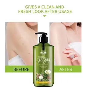 Lavage de corps organique naturel Oem de marque privée avec des rafraîchissements de haute qualité Gel de douche de lavage de corps d'arbre à thé