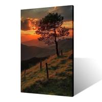 Tableau mural sur toile Coucher de soleil en montagne, silhouette de pin isolé sur ciel orange, impression de paysage panoramique pour salon et chambre à coucher