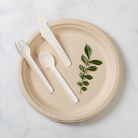 Ensemble de vaisselle en bagasse de canne à sucre ronde de 12 pouces, style vintage écologique, assiettes de service mignonnes biodégradables compostables