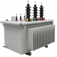 Transformateur de distribution immergé dans l'huile 10 kV