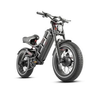 Vélo électrique Eahora Romeo 2 2500W 52V 60Ah avec cadre en acier, double suspension, contrôle par application, longue autonomie, pneus larges 26*4.0, modèle 2024 - Product Image 1