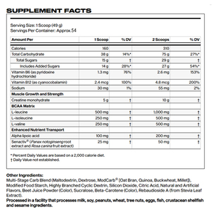 Richtek Pre Workout Raw Powder for Boosting Energy Pre Workout Supplement Energy <strong>BCAA</strong> Pure Creatine Monohydrate - Product Image 2