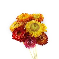 Chrysanthèmes séchés naturels frais de petite taille pour DIY, vente en gros, directement de l'usine, idéal pour un cadeau pour petite amie