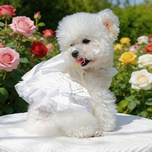 Pet Wedding Dress White Pearl Princess Dog <b>Cat</b> <b>Clothes</b> Summer Small Medium Size Four Seasons Polyester Skirt - Product Image 4