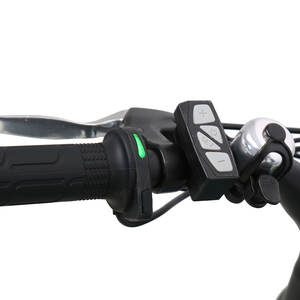 TXED 250W Motor de cubo trasero Ebike 48V Empuñaduras de calefacción Placa de decoración de madera Neumático gordo eléctrico Motocicleta Bicicleta para mujeres - Product Image 5