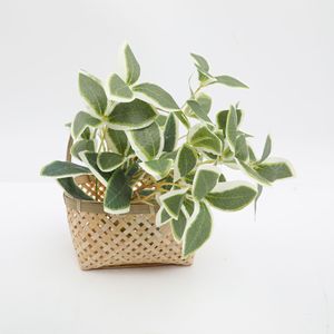 Guanyi - Hojas Verdes Artificiales de 30 cm a 100 cm, Flores de Seda para Decoración de Bodas y Hogar - Product Image 3