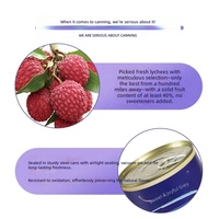 Groothandel 567g Geconserveerde Lychees in Sirop Hoge Kwaliteit Gehele Lychees Ingeblikt Fruit voor Supermarkt Ondersteuning OEM Private Label Export