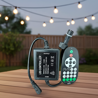 Accessoire de guirlande lumineuse sur mesure en gros d'usine, 720W, connectable, prise femelle et prise européenne, variateur
