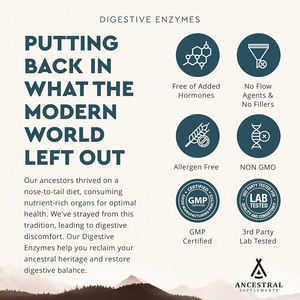 Cápsulas de Enzimas Digestivas de Alta Calidad ODM/OEM, Favorecen el Control de Peso, la Pérdida de Peso y el Adelgazamiento, Promueven el Metabolismo - Product Image 5