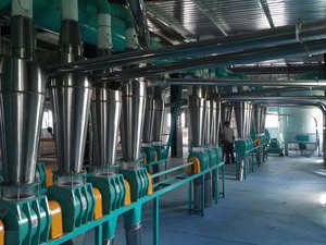 Usine de mouture de blé de grande capacité de 50 tonnes par jour, équipement complet de moulin à blé pour grande usine de <span class=keywords><strong>farine</strong></span> - Product Image 4