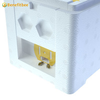 Boîte 50 pièces Nuc queen, boîte d'allumettes pour abeilles, boîte mini abeille et abeilles