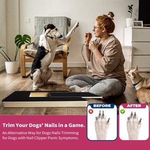 Petdom-almohadilla para rascar con forma de pata de perro, Lima, recortadora, caja para rascar, esmeril, papel de lija, almohadilla para pulir - Product Image 4