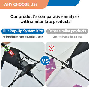 <span class=keywords><strong>Cerf</strong></span>-<span class=keywords><strong>volant</strong></span> de précision Offre Spéciale facile à piloter sans assemblage Cerfs-volants à clic à une clé <span class=keywords><strong>Grand</strong></span> <span class=keywords><strong>cerf</strong></span>-<span class=keywords><strong>volant</strong></span> à double chaîne coloré pour <span class=keywords><strong>adulte</strong></span> - Product Image 6