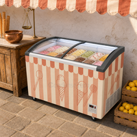 Congélateur à glace commercial 720L avec porte vitrée incurvée, refroidissement direct, congélateur coffre profond pour restaurant