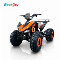 ApexJoy Buggy de plage électrique 500W 48V 20Ah, Kart tout-terrain 4 roues, pour la location sur les coûtes, prix grossiste, profit maximal, OEM ODM personnalisé