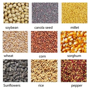 Máquina de Limpieza, Clasificación y Selección de Semillas de Arroz, Soja, Maíz, Frijol, Chía, Calabaza, Mostaza, Semillas de Sésamo y Pimiento - Product Image 5