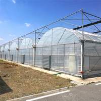 Serre agricole multi-chapelles en film plastique avec système hydroponique pour tomates, concombres et fraises